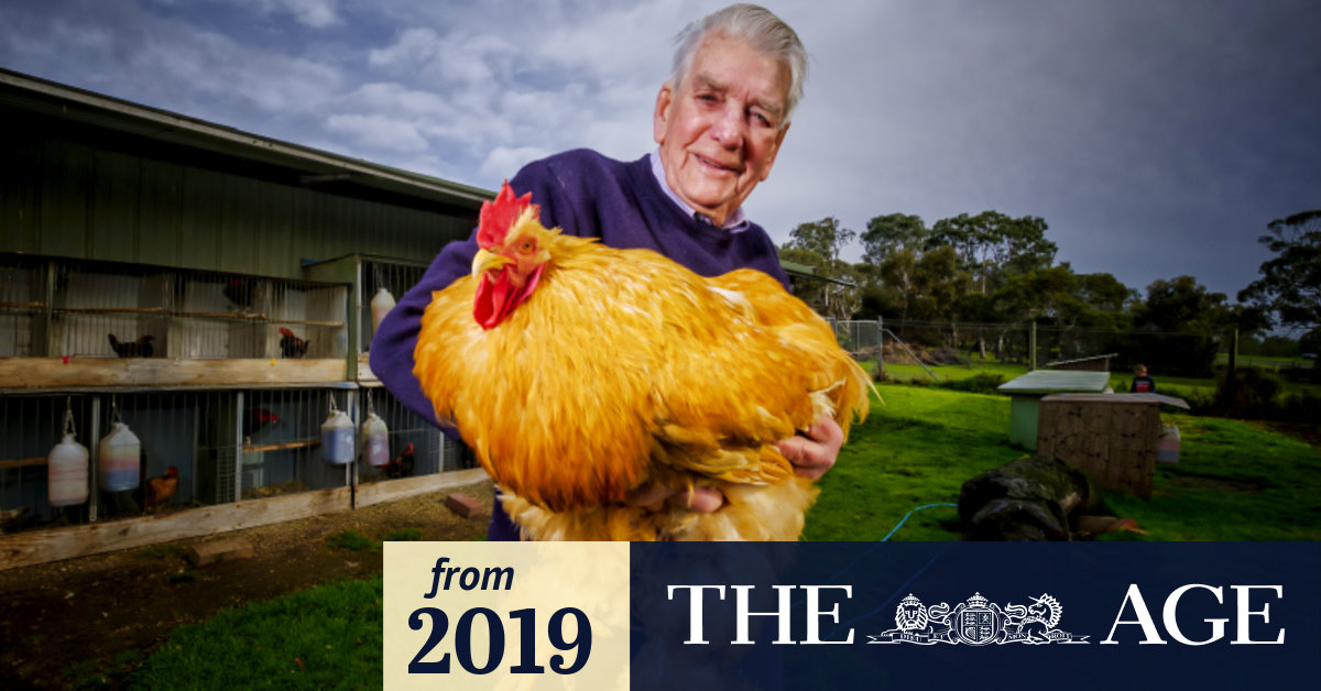 Chickens come home to roost at the Royal Melbourne Show